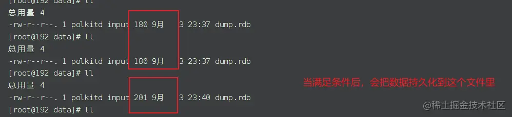 image-20220903155331850