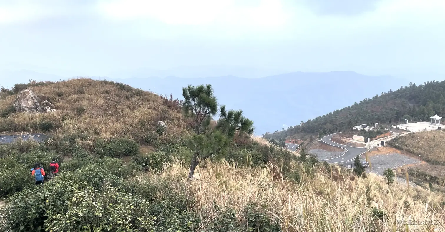 来到新修的柏油路