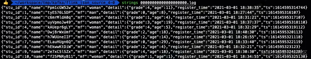 image-20210308170126751