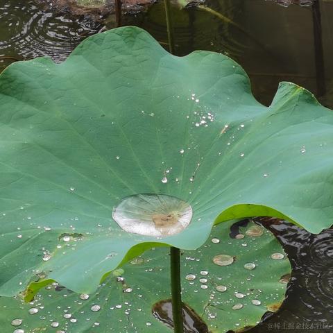 已注销于2021-08-11 18:11发布的图片