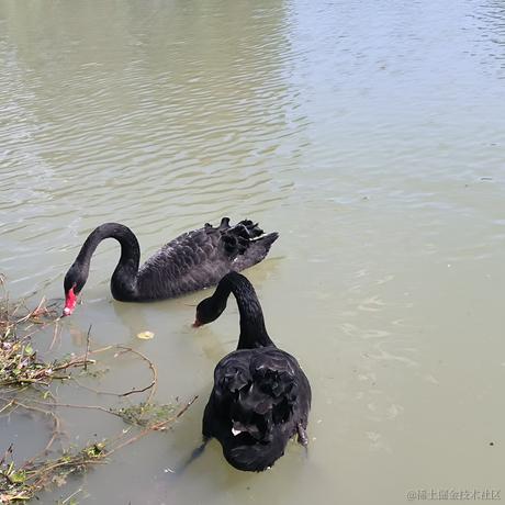 前端_六一于2023-10-06 22:07发布的图片