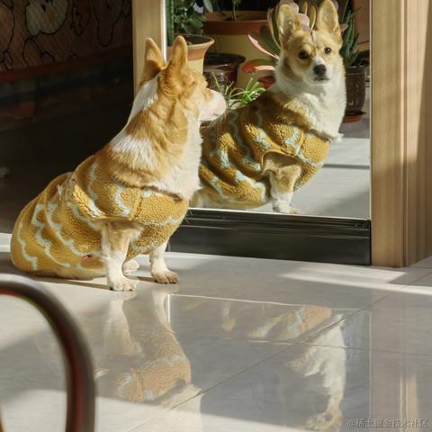 Buda于2022-12-12 23:23发布的图片