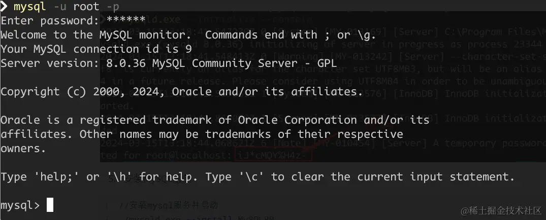 image-20240315215056345