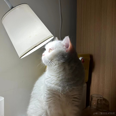 slash1024于2023-06-07 01:08发布的图片