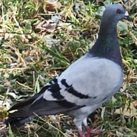 CN千石于2022-09-27 21:58发布的图片