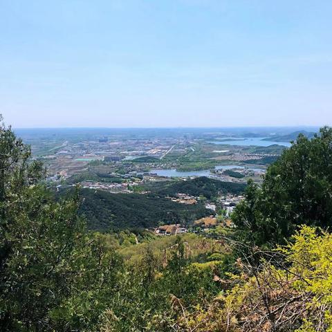 中华干脆面于2021-04-18 19:33发布的图片