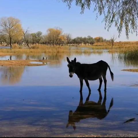 莫小希于2023-06-28 08:43发布的图片