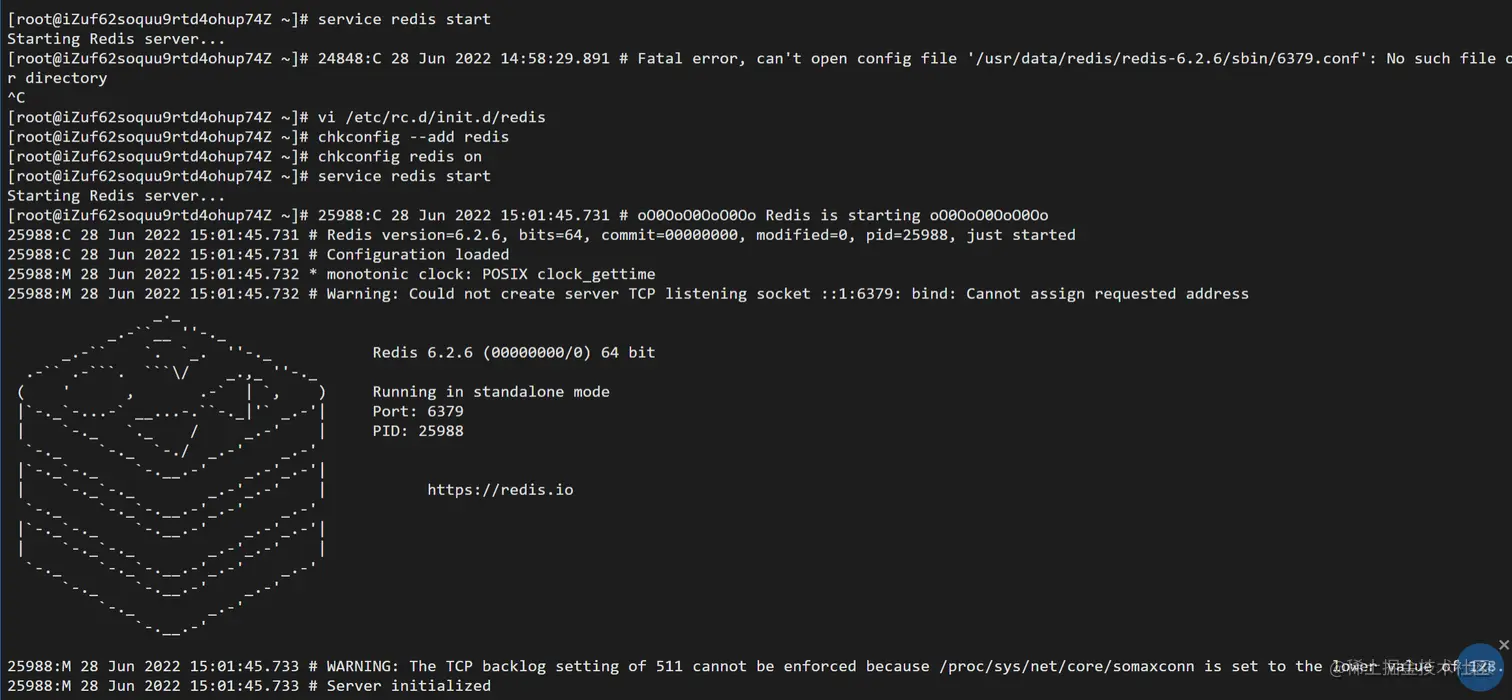 image-20220628152546061