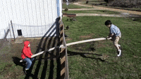 272.GIF