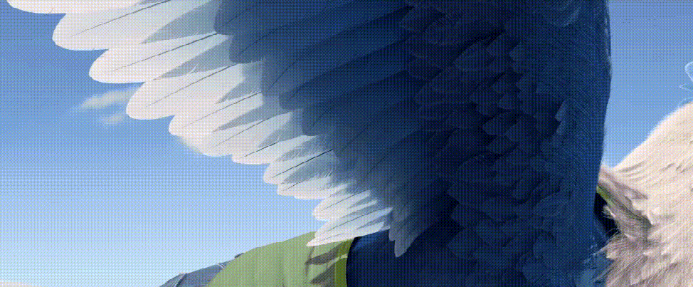 《老鹰抓小鸡》制作亮点 - 瑞云渲染