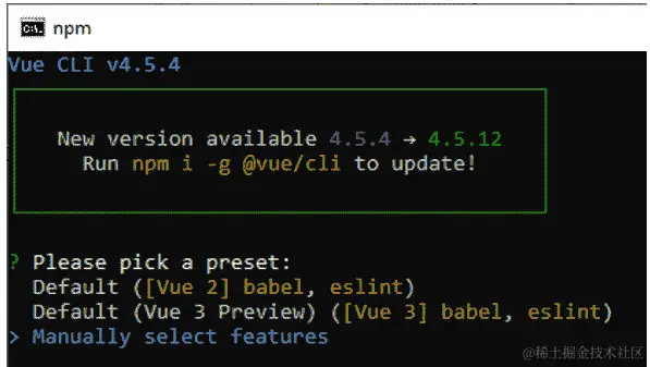 图 3.1 - 在 Vue CLI 向导中创建项目类型的选择