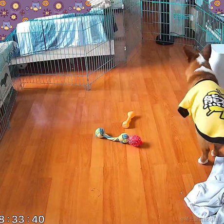 牛肉烧板黎于2020-12-08 08:57发布的图片