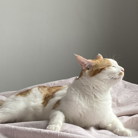 爱吃涮羊肉的Bug开发于2021-10-15 16:26发布的图片