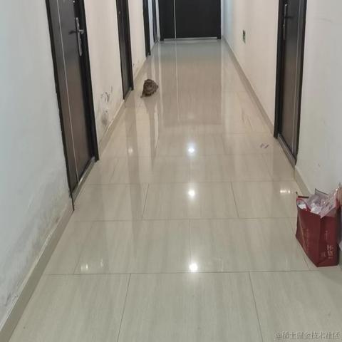 咪了个喵瞄咪于2022-06-06 10:03发布的图片