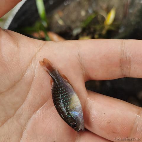 已注销于2021-08-11 18:11发布的图片