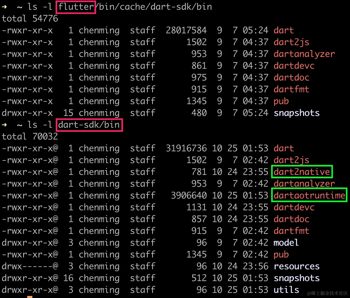 Dart SDK 中的 dart2native 命令
