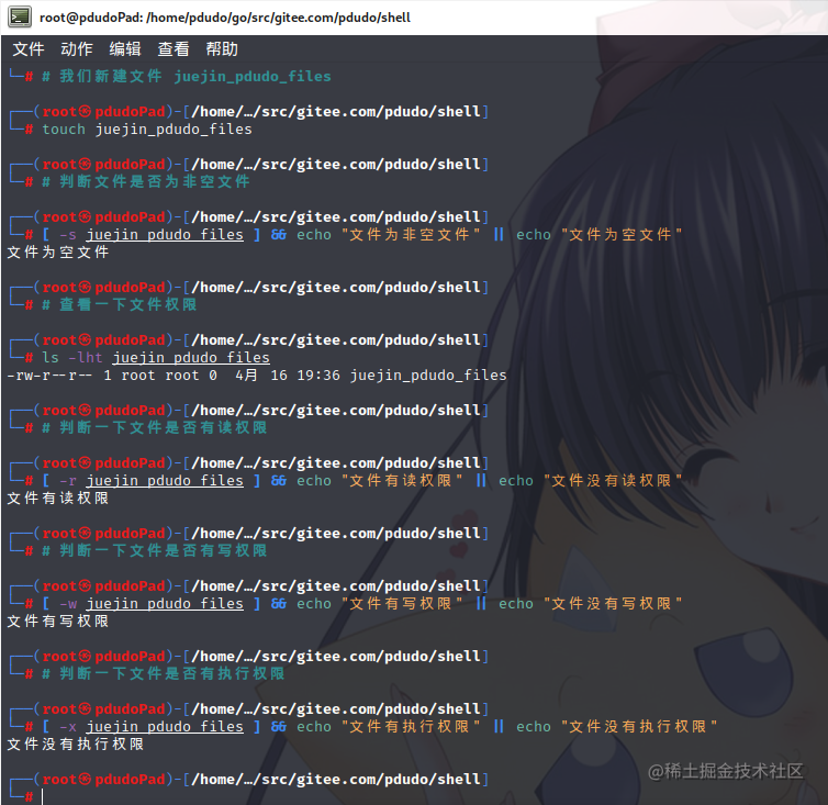 Bash 之test 表达式基础 掘金