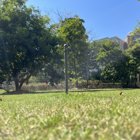 神奇的程序员于2021-11-25 12:49发布的图片