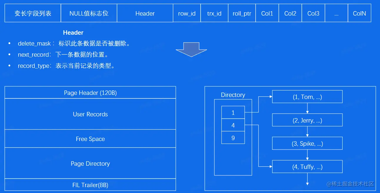 image-20230224224652930