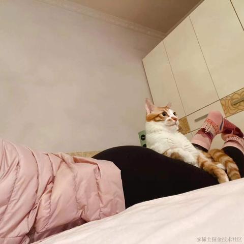 花喵于2022-01-07 14:04发布的图片