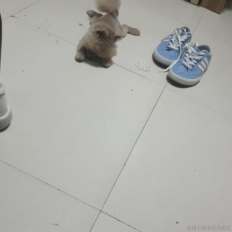 MisterBlank于2022-06-09 14:03发布的图片