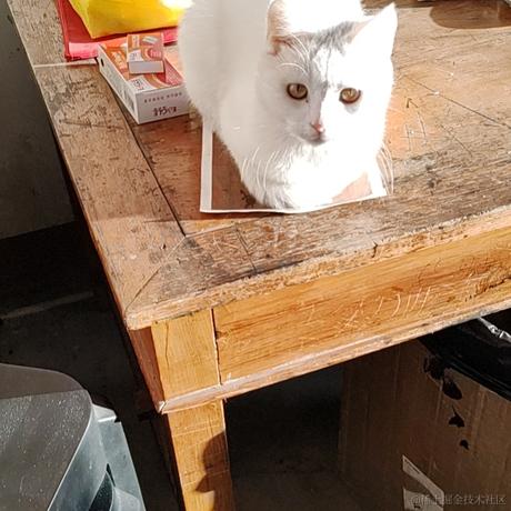 缟衣綦巾于2022-12-14 20:48发布的图片