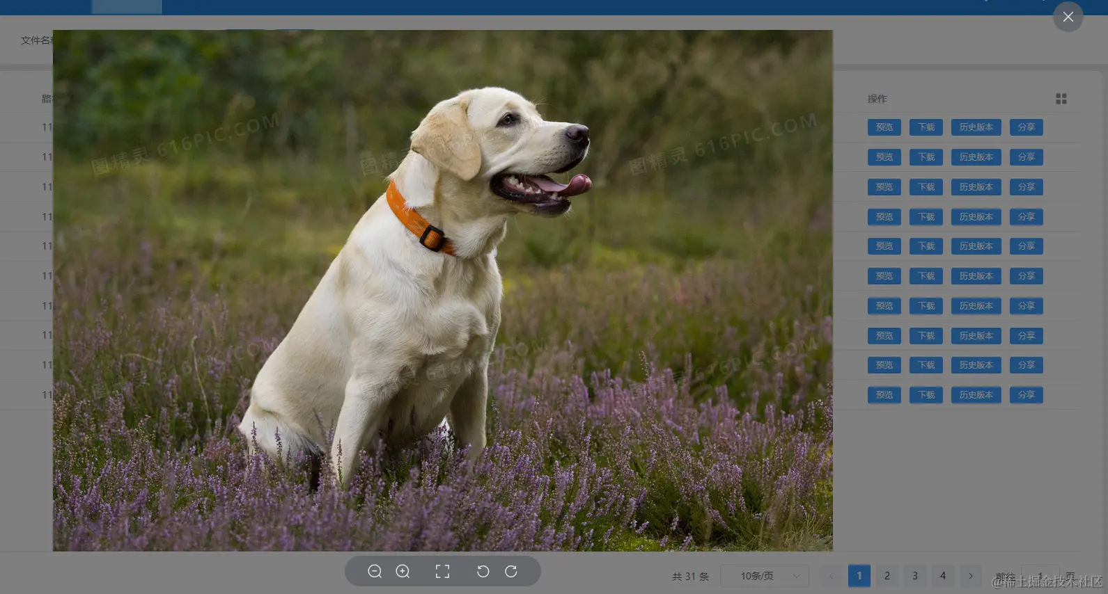 image-20231120091054028