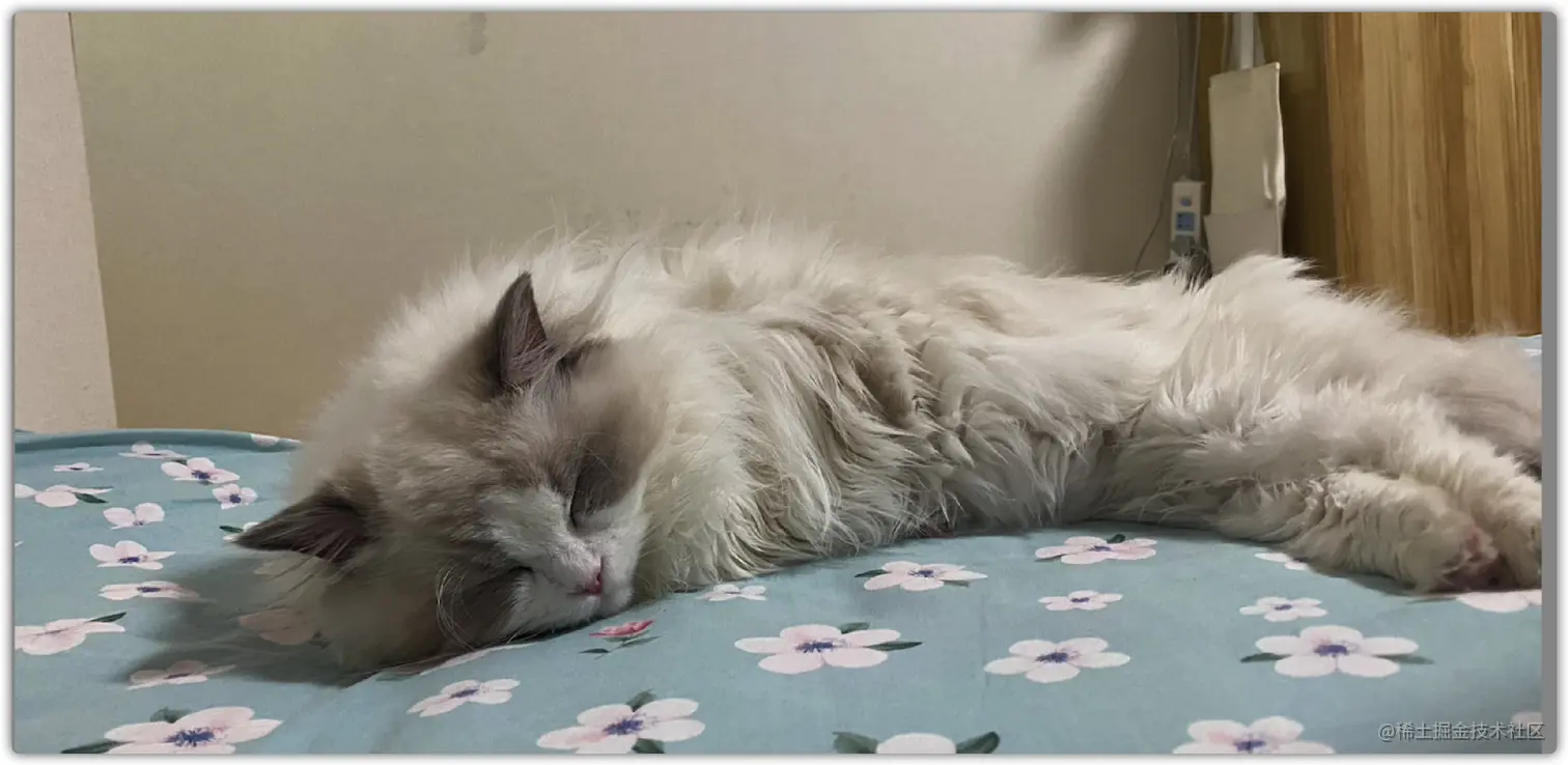 image-20210815171733862