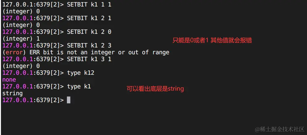 image-20230911202012402