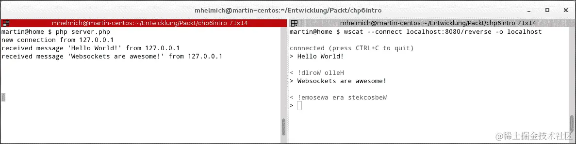 测试 WebSocket 应用程序
