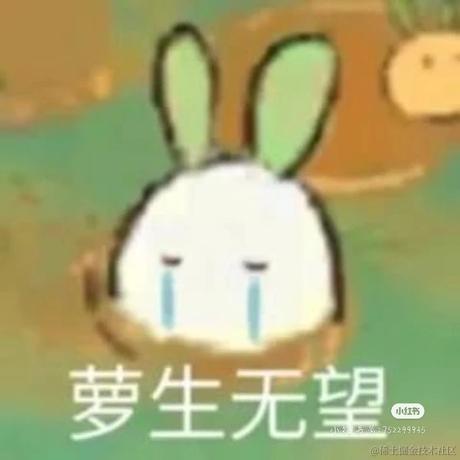 低调的码媛于2023-06-01 07:48发布的图片