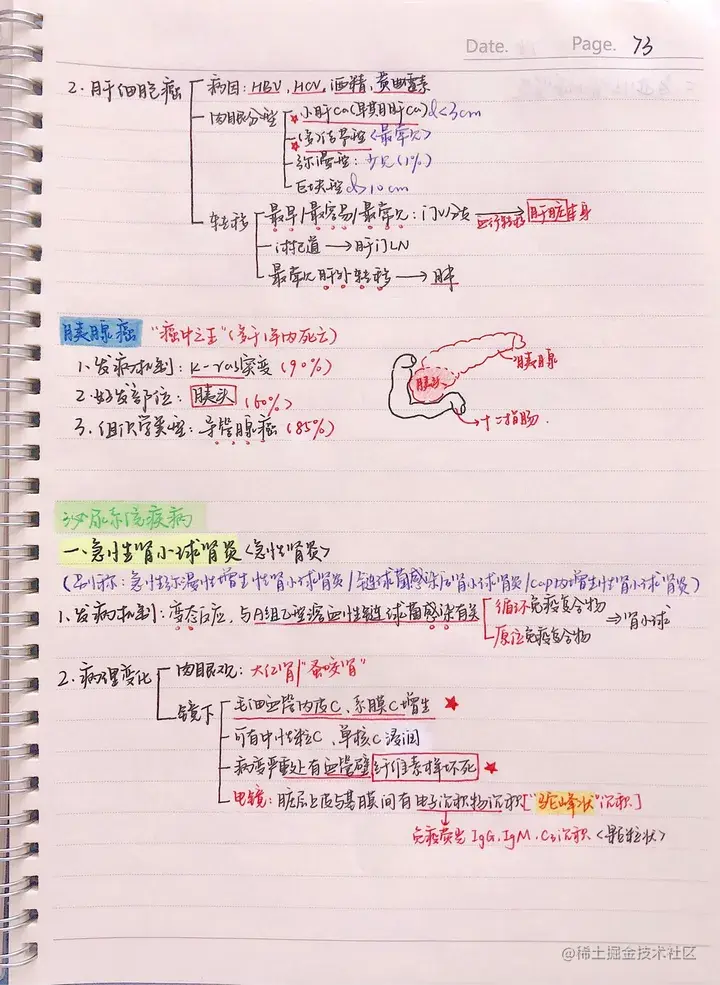 病理手写笔记.pdf