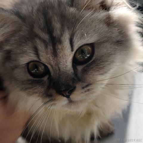 VHG于2021-10-28 09:54发布的图片