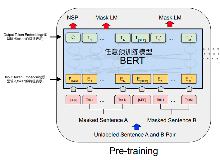 这里以BERT论文内示意图为例，目前绝大多数基于Transformer的预训练模型结构都是相似的