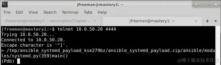 图 9.23 - 使用 telnet 连接到远程 Python 调试器会话进行模块调试