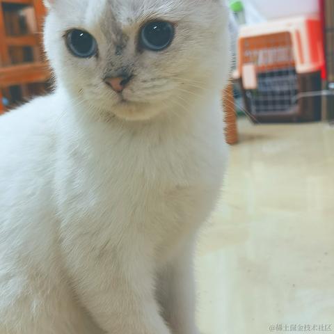 安修奥克苏恩于2022-12-05 19:43发布的图片
