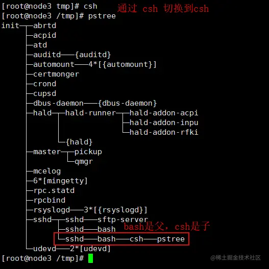如何有效地使用和操作Linux Bash中的变量？  第1张