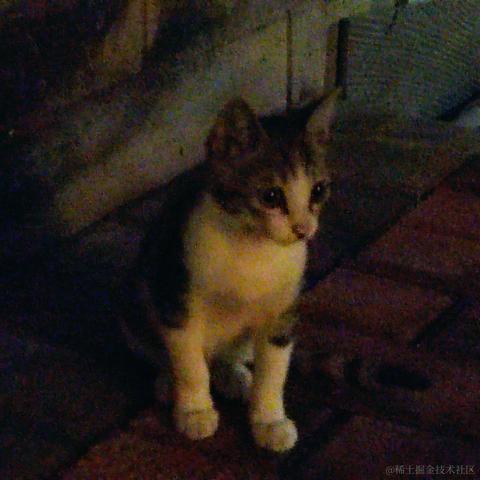 碗里没有拉于2022-11-17 23:04发布的图片