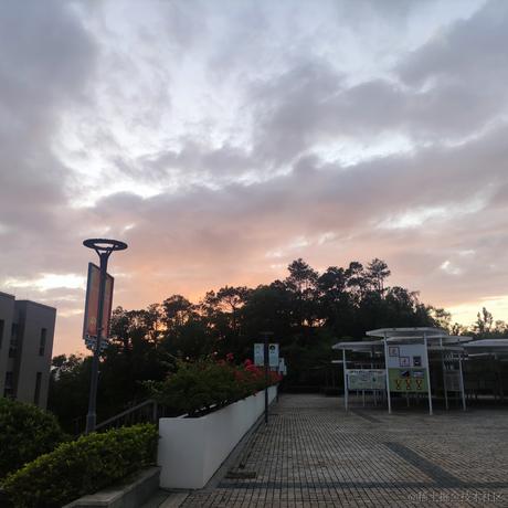 猫雷最强于2022-11-17 00:05发布的图片