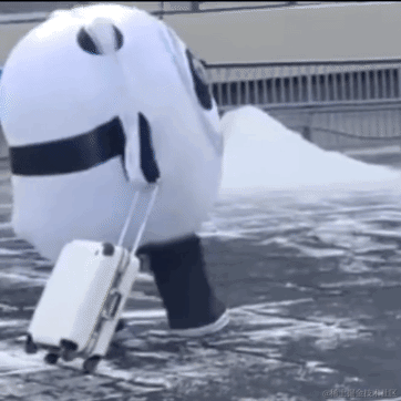 婉婉啊于2022-02-25 08:24发布的图片