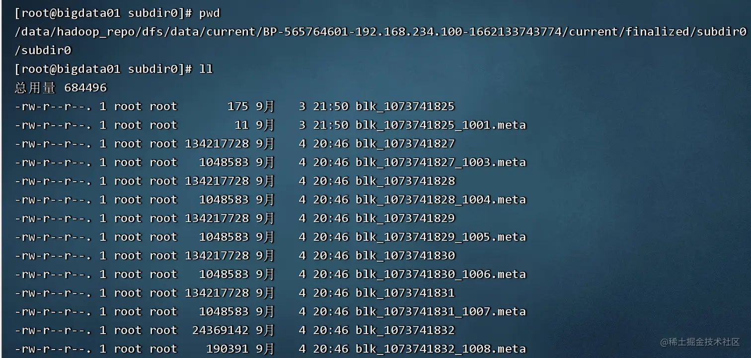 image-20220904224153220