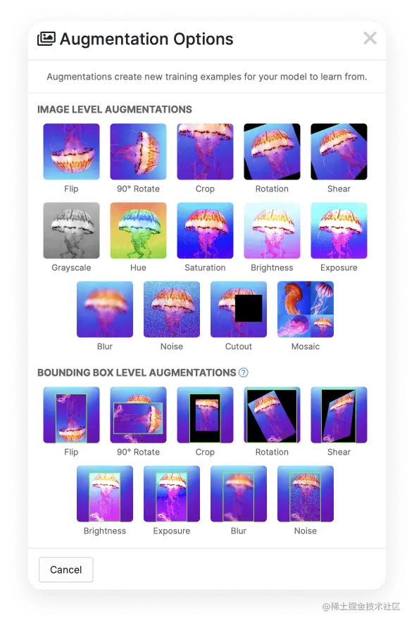 There are a wide array of augmentation options available for us, we can flip, crop, rotate, add a blur, noise, adjust brightness or exposure, and many more.