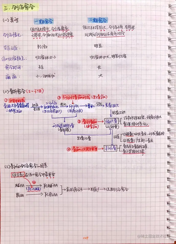 病理手写笔记.pdf