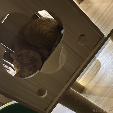 avavaava于2022-11-26 08:16发布的图片