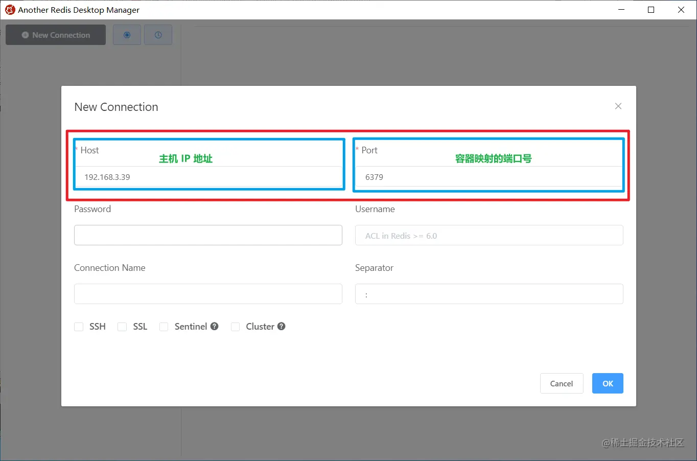 image-20211228131556117