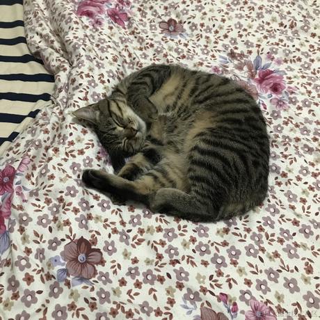 卡布1达咩于2020-12-14 13:42发布的图片