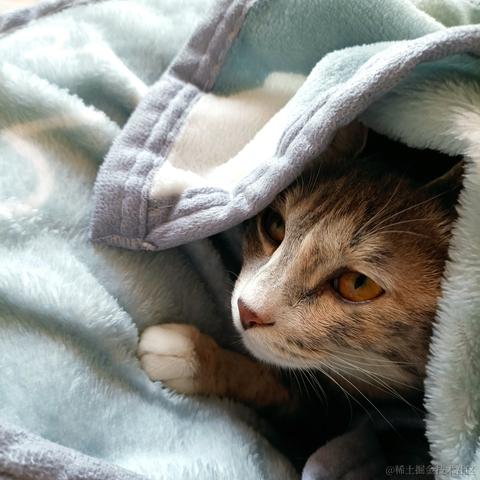 奔跑吧鸡翅于2021-11-01 08:44发布的图片