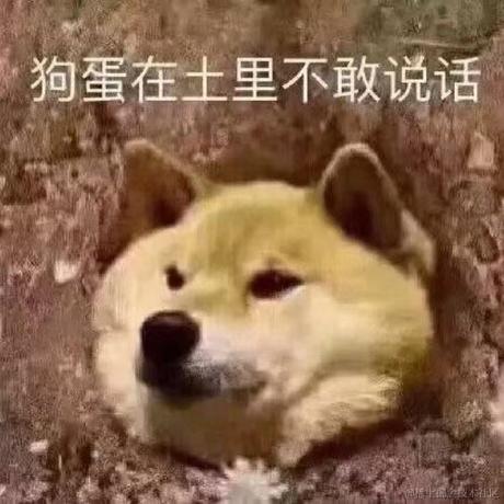 Newway于2022-02-14 13:29发布的图片