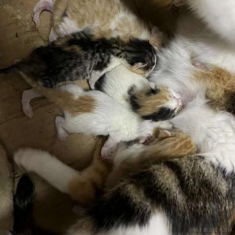 单纯_稀饭于2023-03-29 09:09发布的图片