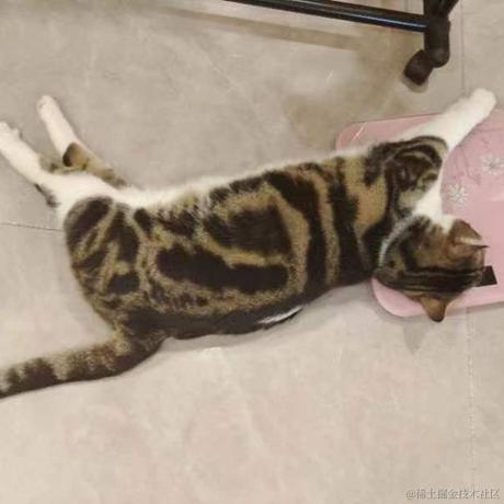 时雨有琪于2022-12-06 11:34发布的图片